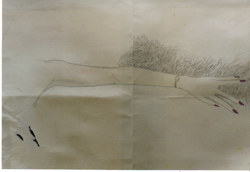 lastscan734
